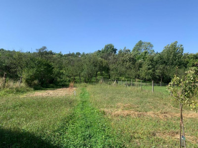 Case de vanzare Persani imagine mica 3