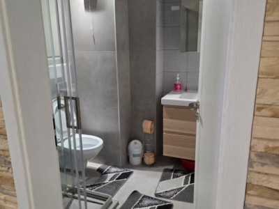 Apartamente de inchiriat Sibiu Doamna Stanca imagine mica 16