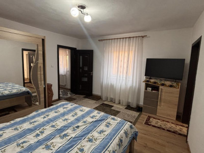 Case de vanzare Sura Mare imagine mica 4