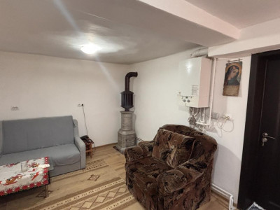 Case de vanzare Sura Mare imagine mica 6