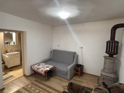 Case de vanzare Sura Mare imagine mica 7