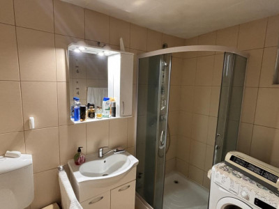 Case de vanzare Sura Mare imagine mica 8