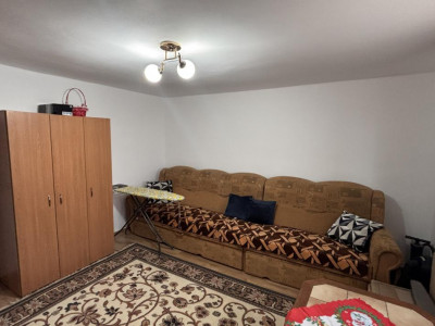 Case de vanzare Sura Mare imagine mica 13