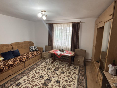 Case de vanzare Sura Mare imagine mica 15