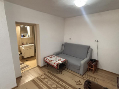 Case de vanzare Sura Mare imagine mica 16