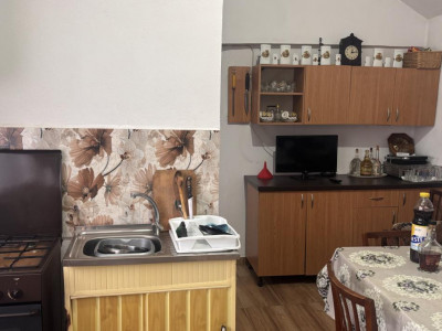 Case de vanzare Sura Mare imagine mica 20