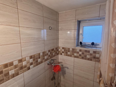 Case de vanzare Sura Mare imagine mica 22