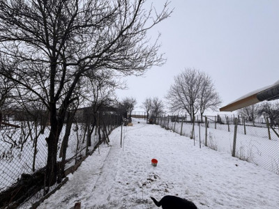 Case de vanzare Sura Mare imagine mica 23