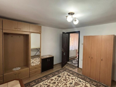 Case de vanzare Sura Mare imagine mica 12