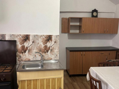 Case de vanzare Sura Mare imagine mica 20