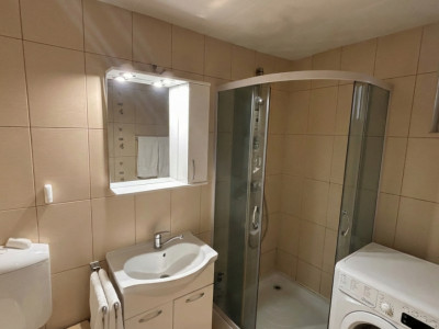 Case de vanzare Sura Mare imagine mica 8