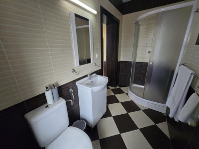 Case de inchiriat Sibiu Lupeni imagine mica 11