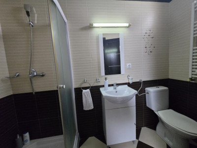 Case de inchiriat Sibiu Lupeni imagine mica 19