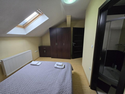 Case de inchiriat Sibiu Lupeni imagine mica 20