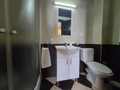 Case de inchiriat Sibiu Lupeni imagine mica 31