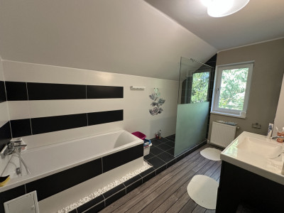 Case de vanzare Avrig imagine mica 8