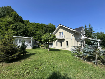 Case de vanzare Avrig imagine mica 29