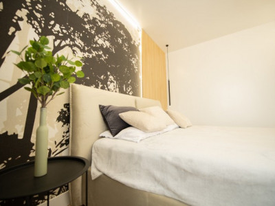 Apartamente de inchiriat Sibiu Doamna Stanca imagine mica 25