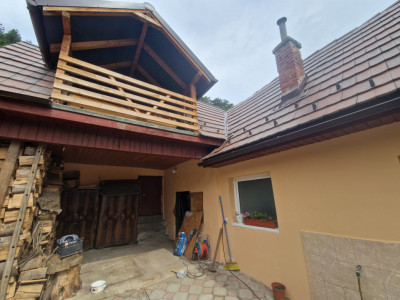 Case de vanzare Rasinari imagine mica 11