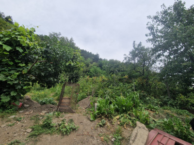 Case de vanzare Rasinari imagine mica 12