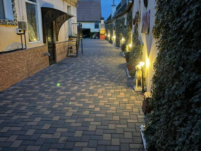 Case de inchiriat Cristian imagine mica 14