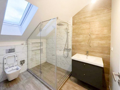 Case de vanzare Cluj-Napoca Borhanci imagine mica 4