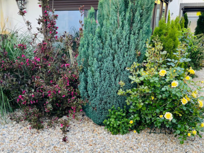 Case de vanzare Sibiu Selimbar imagine mica 14