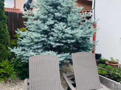 Case de vanzare Sibiu Selimbar imagine mica 15