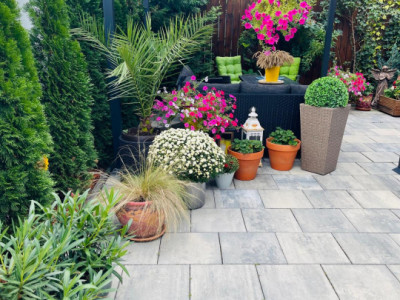 Case de vanzare Sibiu Selimbar imagine mica 8