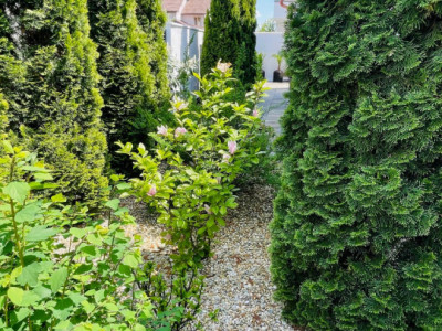 Case de vanzare Sibiu Selimbar imagine mica 20