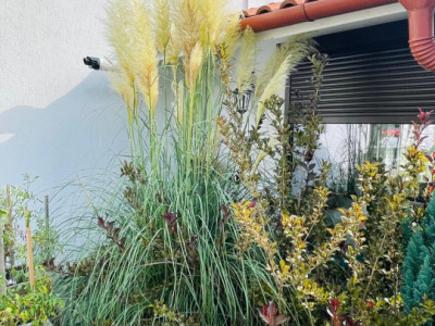 Case de vanzare Sibiu Selimbar imagine mica 26