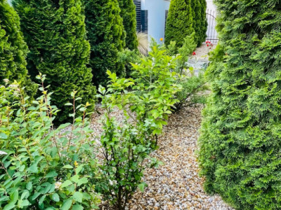 Case de vanzare Sibiu Selimbar imagine mica 28