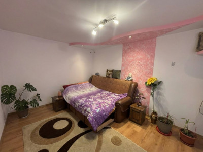 Case de vanzare Sura Mare imagine mica 7