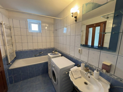 Case de vanzare Sura Mare imagine mica 8