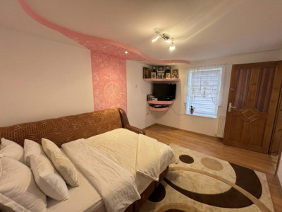 Case de vanzare Sura Mare imagine mica 13