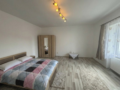 Case de vanzare Sura Mare imagine mica 16