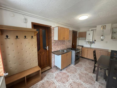 Case de vanzare Sura Mare imagine mica 21