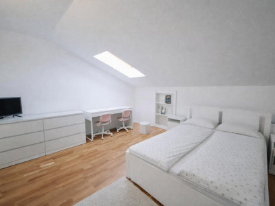 Case de vanzare Cisnadie imagine mica 18