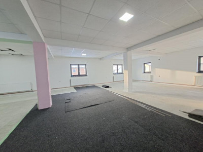 Case de vanzare Cisnadie imagine mica 20