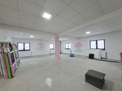 Case de vanzare Cisnadie imagine mica 24