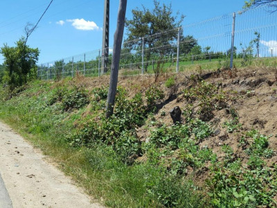 Terenuri de vanzare Loman imagine mica 2