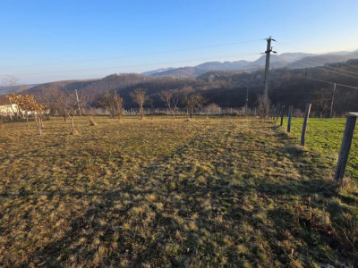 Terenuri de vanzare Loman imagine mica 3