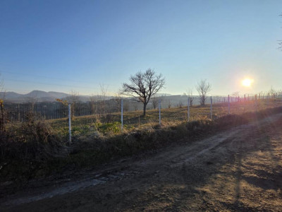 Terenuri de vanzare Loman imagine mica 5