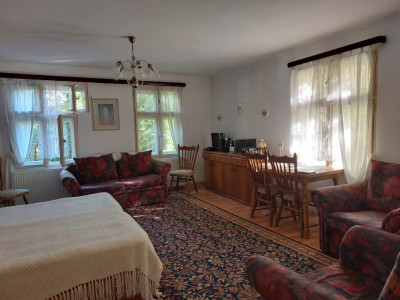 Case de vanzare Cisnadioara imagine mica 11