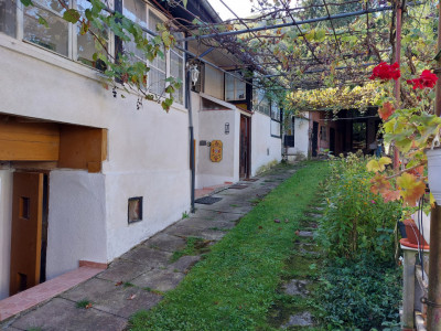 Case de vanzare Cisnadioara imagine mica 23