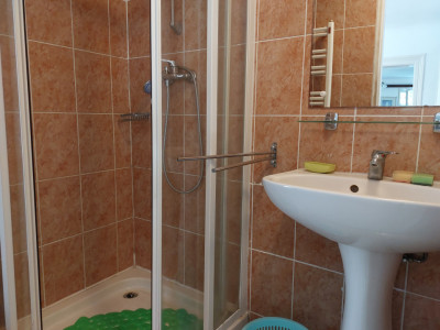 Case de vanzare Cisnadioara imagine mica 26