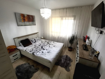 Case de vanzare Sura Mica imagine mica 12