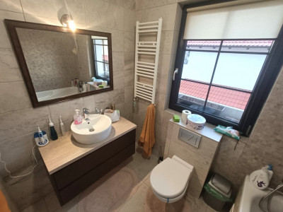 Case de vanzare Sura Mica imagine mica 13