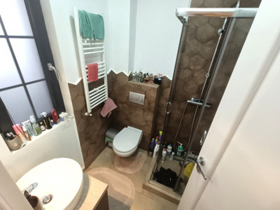 Case de vanzare Sura Mica imagine mica 20