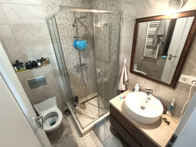 Case de vanzare Sura Mica imagine mica 22